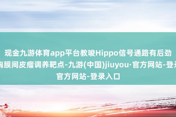 现金九游体育app平台教唆Hippo信号通路有后劲成为胸膜间皮瘤调养靶点-九游(中国)jiuyou·官方网站-登录入口