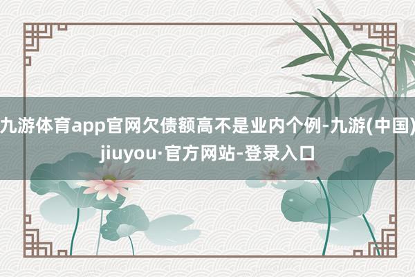 九游体育app官网欠债额高不是业内个例-九游(中国)jiuyou·官方网站-登录入口